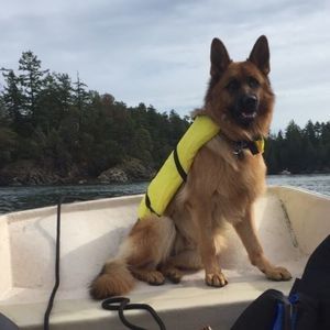 Meet your Posher, Deneen